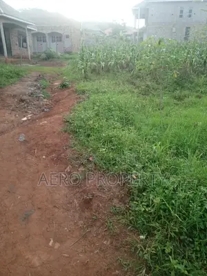 Hot Cake Land for Sale