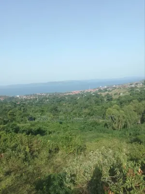7 Acres of Land in Kiyindi Buikwe, Mukono-Katosi-Nkokonjeru Road