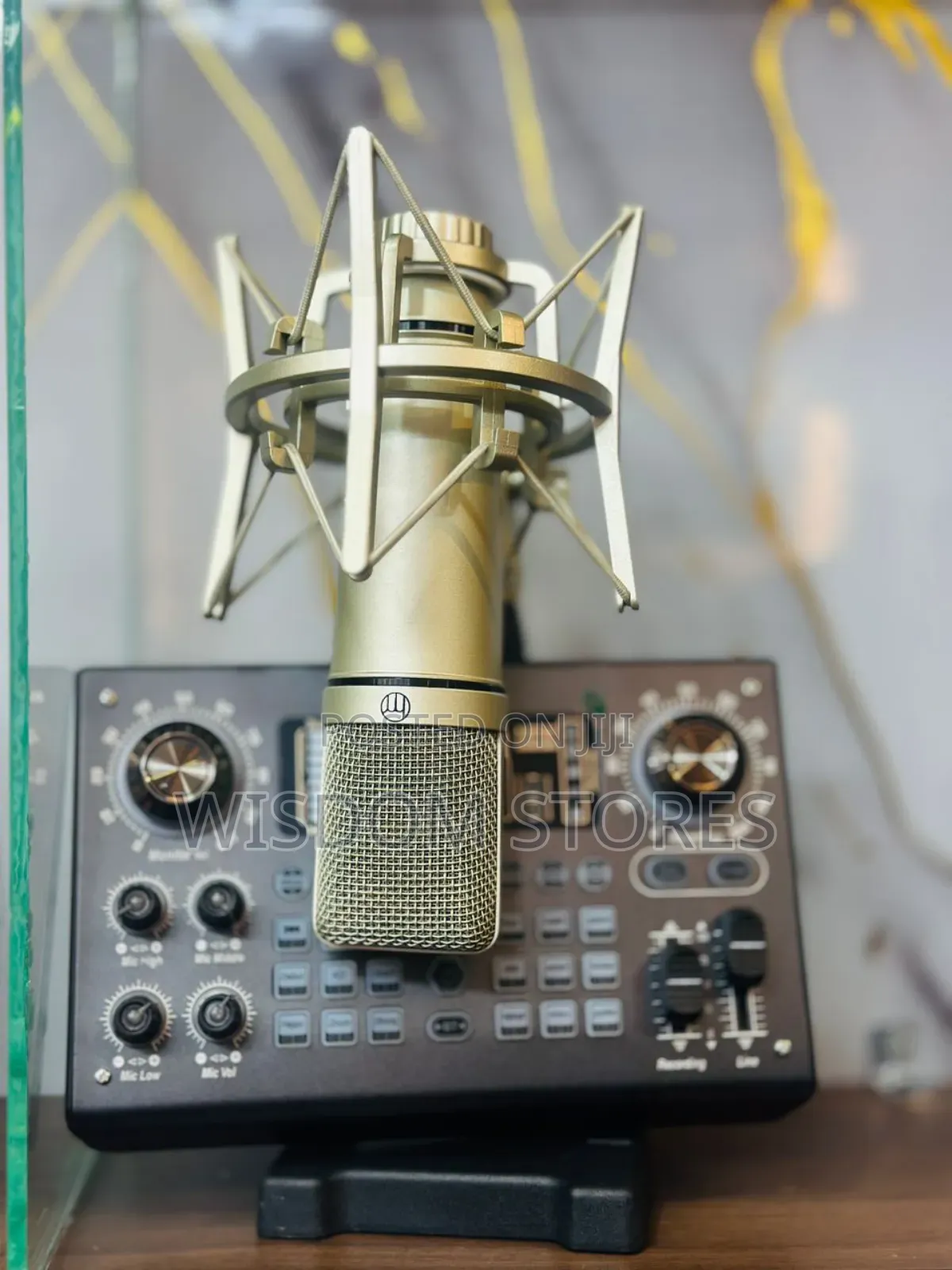 Condenser Microphone and an Audio Interface Set