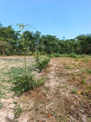 37 Decimals of Land in Kyanja Kungu