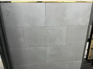 Porcelain Floor Tiles (30 by 60 Cm)