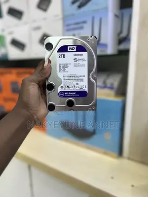 Wd Purple 2tb Hard Drive