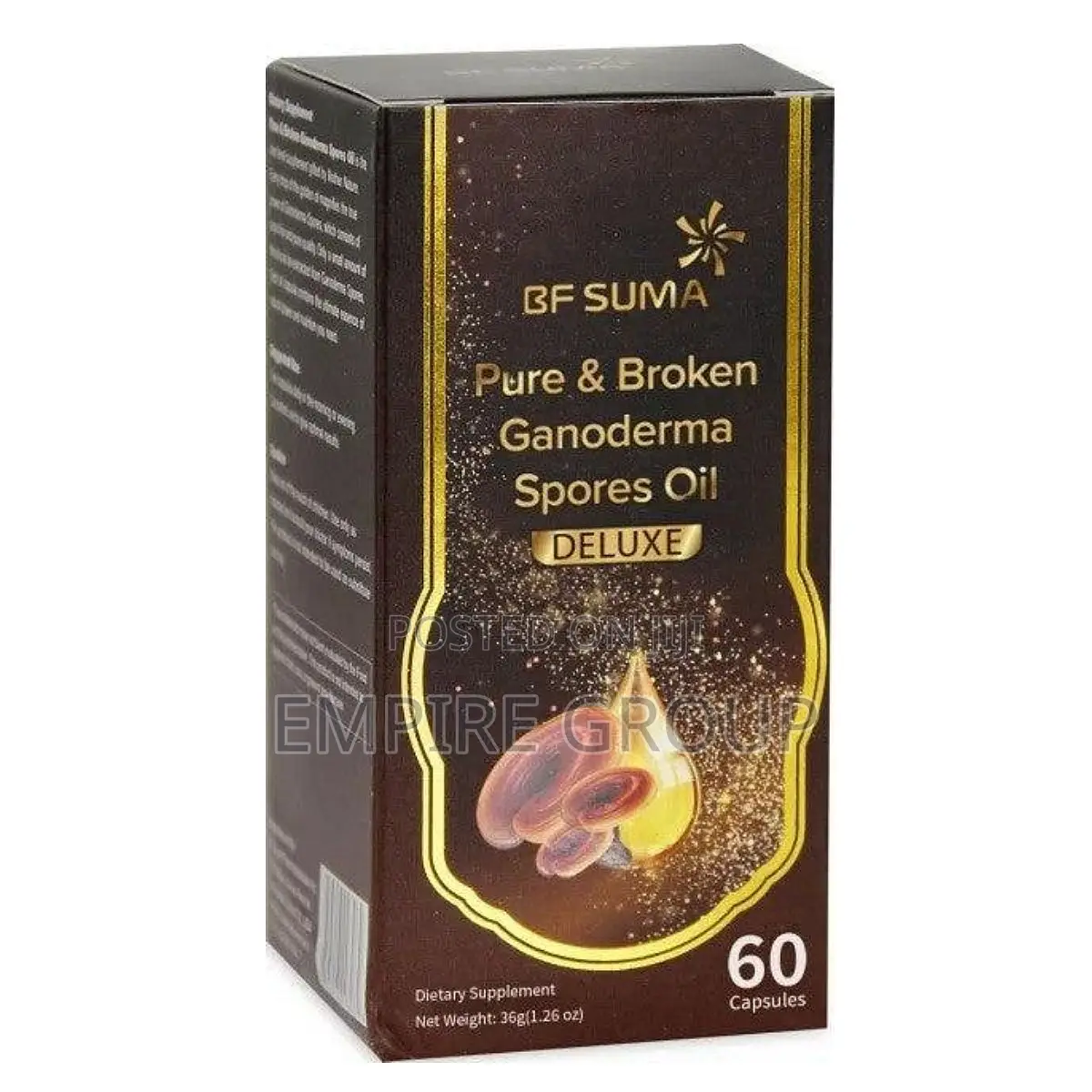 Pure and Broken Ganoderma Spores Oil Softgels – Immune System Support