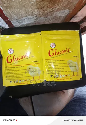 Glucovit (Chicks Brooder Vitamins)