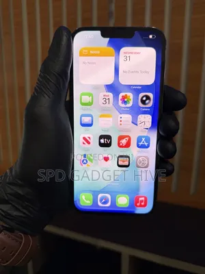 Apple iPhone 13 Pro Max 256 GB Silver