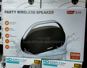 Wireless Speaker 300w