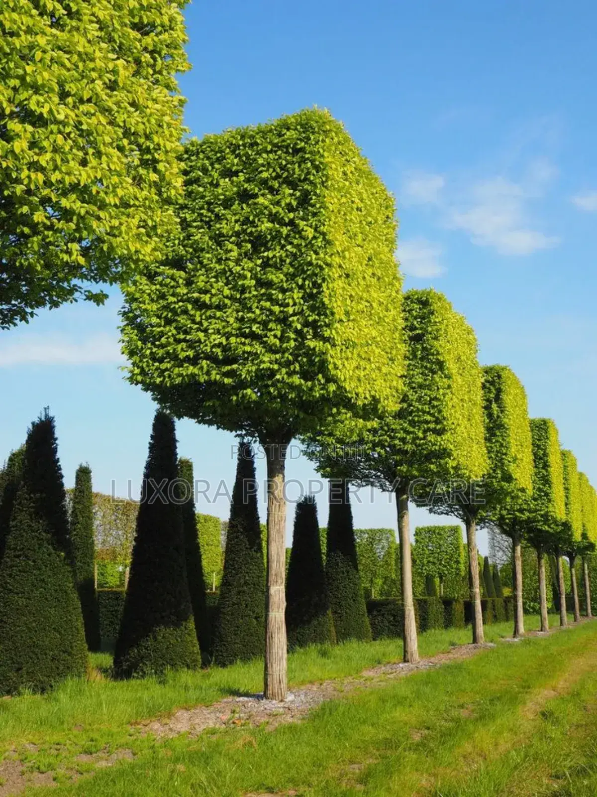 Luxora Property Care
