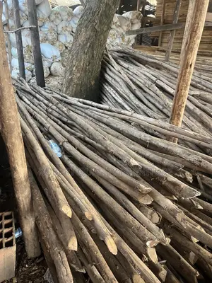 Selling Timber