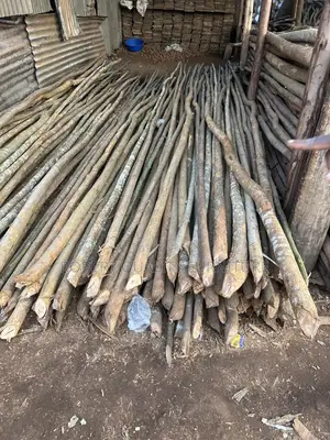 Selling Timber