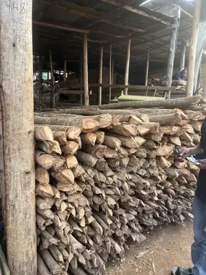 Selling Timber