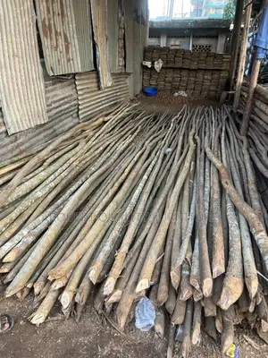 Selling Timber