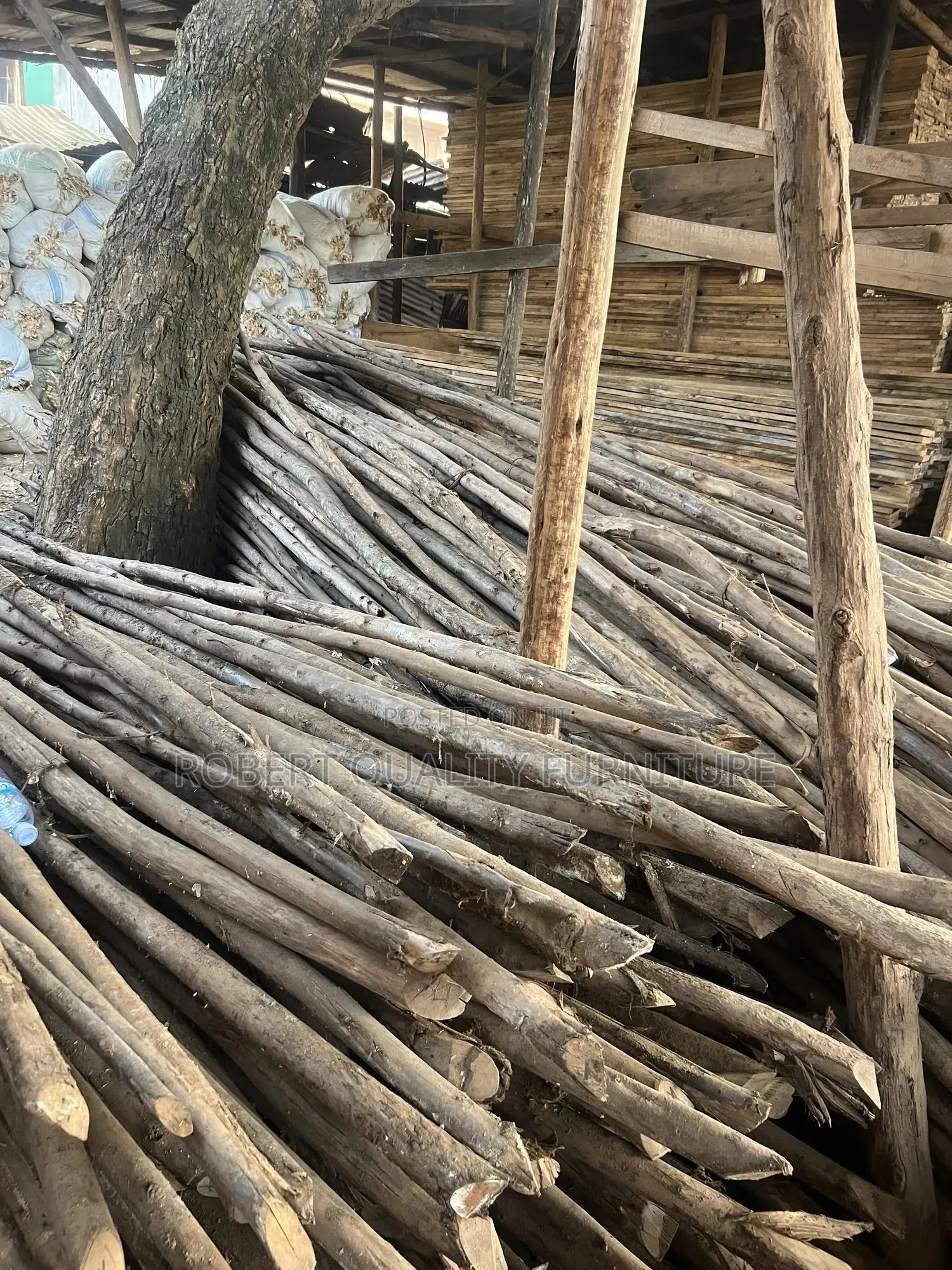 Selling Timber