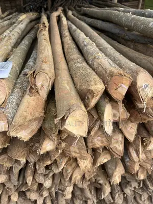 Selling Timber