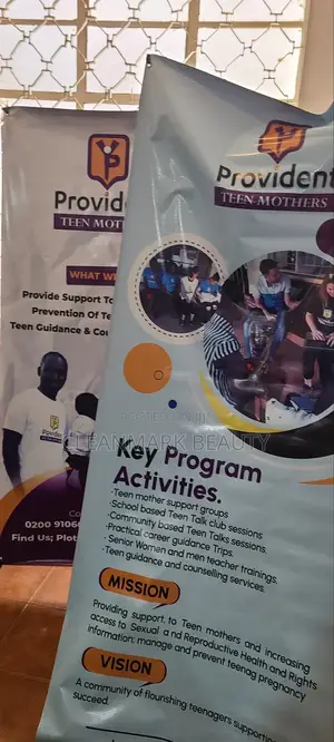 Mentorship Program With in and Out School