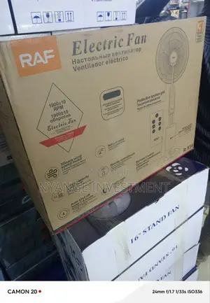 Raf Electric Mist Fan.