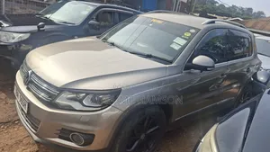 Volkswagen Tiguan 2013 Silver