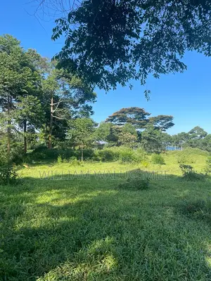 53 Acres of Lake Side