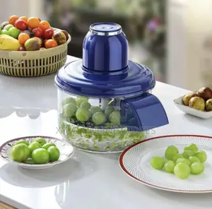 An Automatic Fruit and Vegetable Peeler