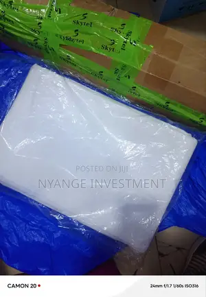 Projector Screen White Colour With Stand