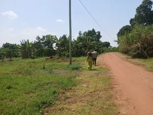 Several 50x100ft Plots at Kiwenda Wikiso District