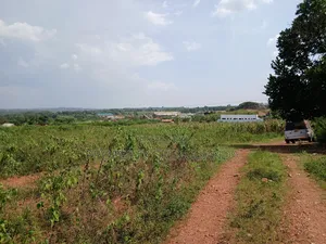 2 50x100ft Plots for Sale at Nakassaja Kasenene