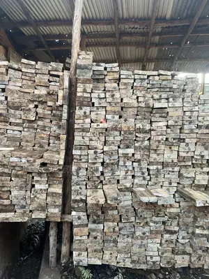 Selling Timbers, Payani In Oll Siz