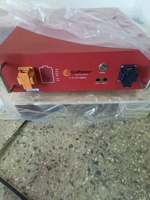 51.2v 100ah Gopower Lithium Batteries