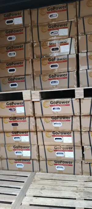 51.2v 100ah Gopower Lithium Batteries