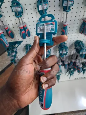 Phillips Screwdriver 1x100mm