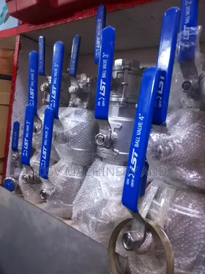 Stainless Steel Open Valves