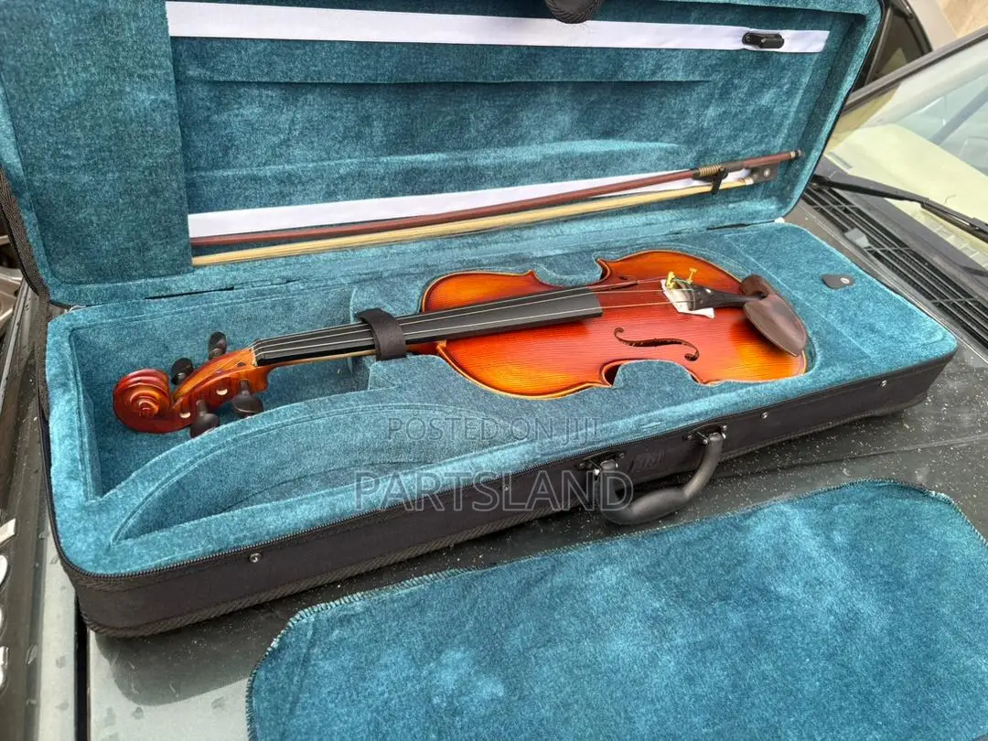 4/4 Professional Viola