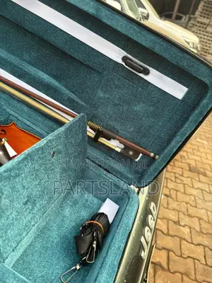 4/4 Professional Viola