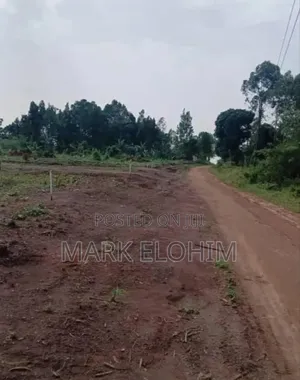 Plots of Land in Various Sizes