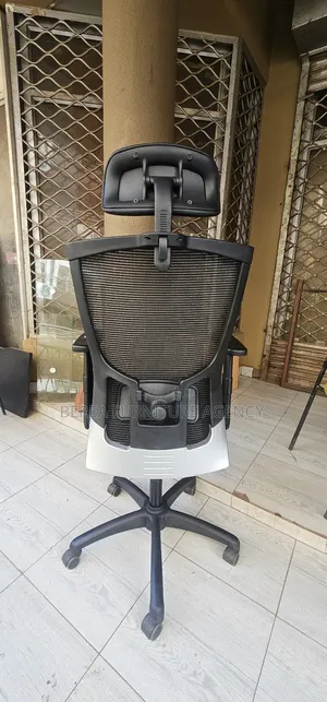 Mesh Office Chair (Adjustable Headrest, Armrests, Back Support)