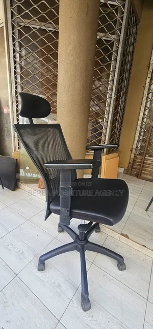 Mesh Office Chair (Adjustable Headrest, Armrests, Back Support)
