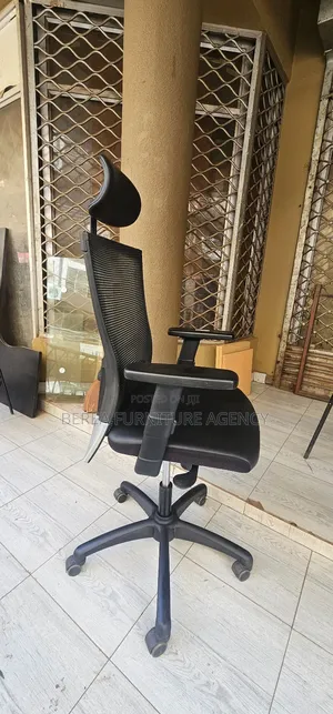 Mesh Office Chair (Adjustable Headrest, Armrests, Back Support)