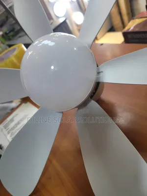 Ceiling Flower Fan With Light
