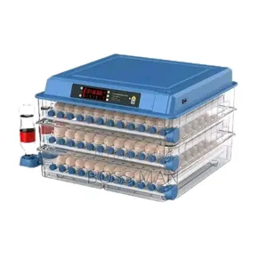 220 Eggs Incubator