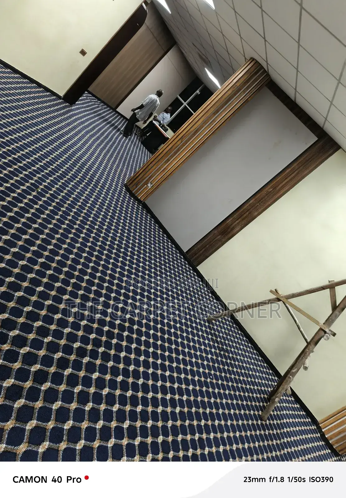 Blue Checked Carpets