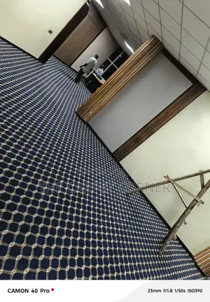 Blue Checked Carpets