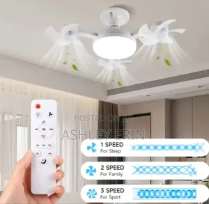 F3 Fan Light Ceiling Light With an Integrated Fan