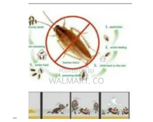 Cockroach Killing Powder