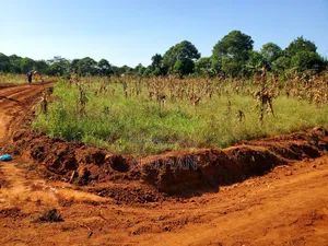 Ntadika Omwaka Mu Style Ne Century Property Real Estate (U)Ltd