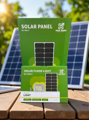 Blue Carbon Wr 300w Heavy-Duty Solar Flood Light