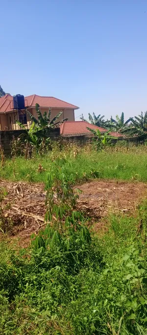 100*100 Plot of Land in Jinja Misindye Namugongo