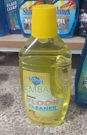 Octopus Floor Cleaner.