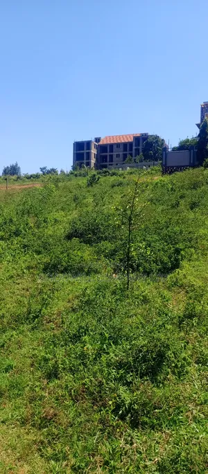 100 by 100 Plot of Land in Jinja Misindye on a Hill