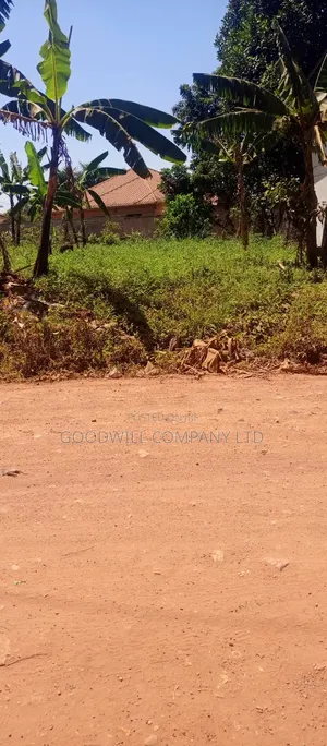 50*100 Commercial Plot of Land in Sonde on Kikulu Marrum Road