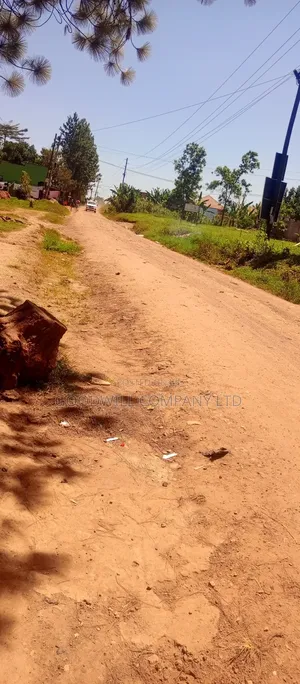 25 Decimals of Land Touching on Marrum Road in Sonde