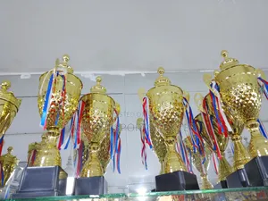 Gold Trophies 62cm